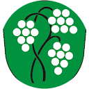 Starosta Nikolčice profile picture